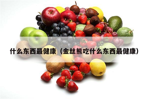 什么东西最健康（金丝熊吃什么东西最健康）