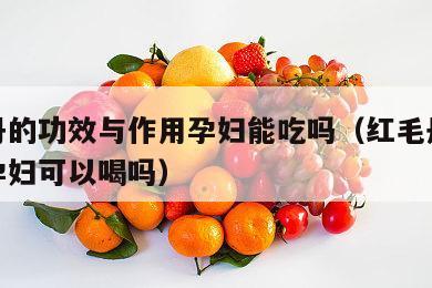 红毛丹的功效与作用孕妇能吃吗（红毛丹水果饮料孕妇可以喝吗）