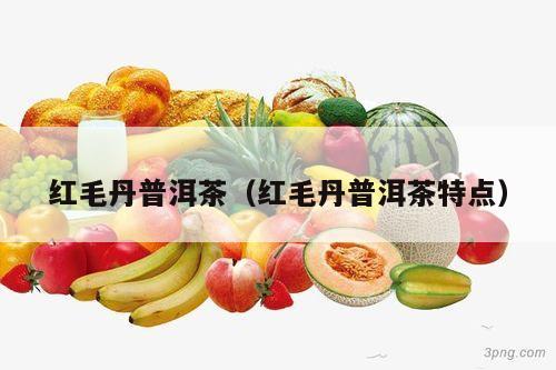 红毛丹普洱茶（红毛丹普洱茶特点）