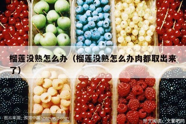 榴莲没熟怎么办（榴莲没熟怎么办肉都取出来了）