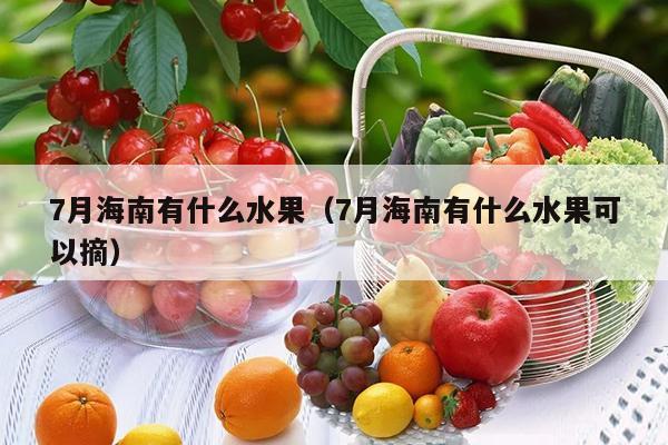 7月海南有什么水果（7月海南有什么水果可以摘）