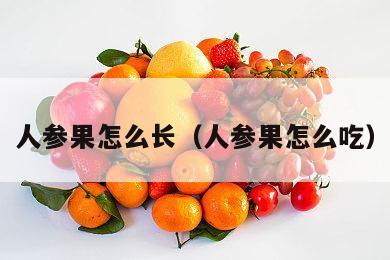 人参果怎么长（人参果怎么吃）