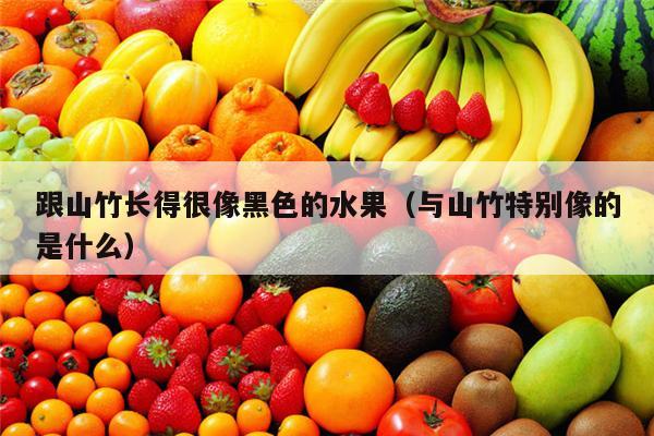 跟山竹长得很像黑色的水果（与山竹特别像的是什么）