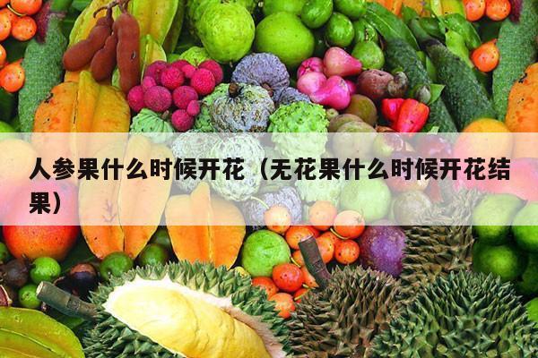 人参果什么时候开花（无花果什么时候开花结果）