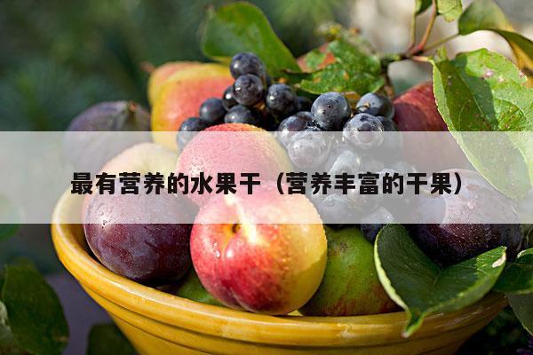 最有营养的水果干（营养丰富的干果）