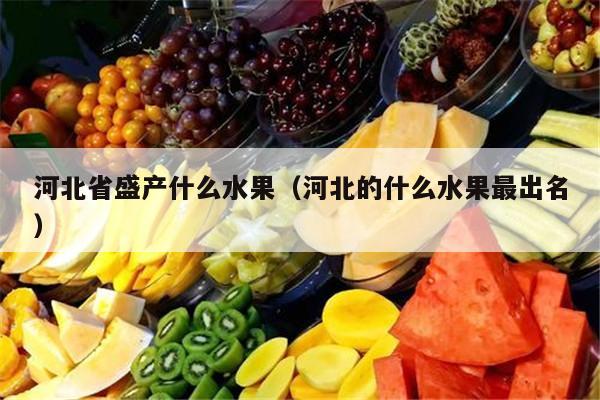 河北省盛产什么水果（河北的什么水果最出名）