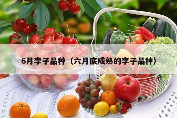 6月李子品种（六月底成熟的李子品种）