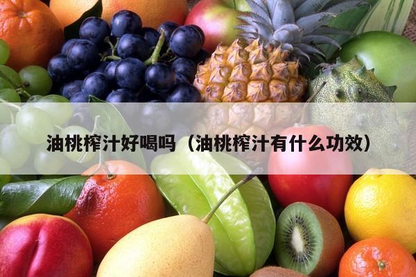 油桃榨汁好喝吗（油桃榨汁有什么功效）